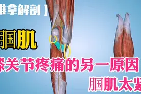 膝关节疼痛的另一原因——腘肌太紧【推拿解剖】视频封面