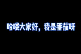 世界上弹幕最多的视频。视频封面
