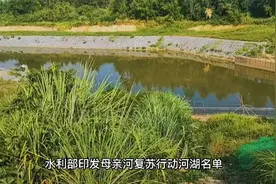 水利部印发母亲河复苏行动河湖名单视频封面