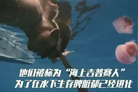 巴瑶族潜水捕鱼制作工具样样精通，有些人为了潜水从小就刺破耳膜视频封面