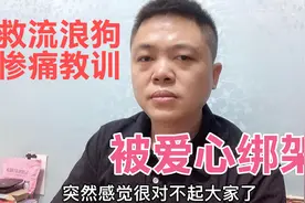 不作不死，打工小伙救狗一年以为在做好事，没料到最终被爱心绑架视频封面
