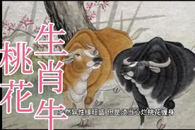 生肖牛桃花