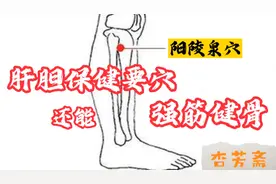 肝胆保健要穴，还能强筋健骨—阳陵泉穴 清利湿热 疏肝利胆视频封面