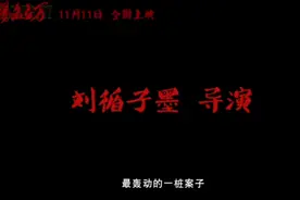扬名立万视频封面