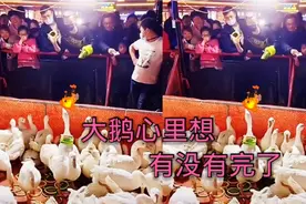 爆笑合集，大鹅心里不舒服呀，为什么总是我，我太难了视频封面