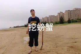 退潮后的沙滩上都是沙马蟹洞，一把铁铲，一挖一个准视频封面