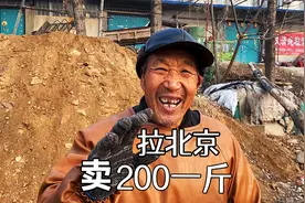 山东临沂农村大集，一斤出半斤油，大爷：这要拉北京能卖200一斤视频封面