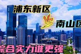 上海浦东新区对比深圳南山区，中国第一区之争到底谁更胜一筹？视频封面