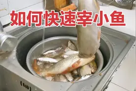 河里逮的小鱼，如何快速处理，否则天太热，容易脱刺腐烂视频封面