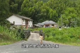 美女姐姐2500租栋老宅，花8万元改造，给72岁母亲做避暑山庄视频封面