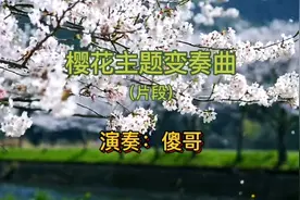 樱花主题变奏曲（片断）视频封面
