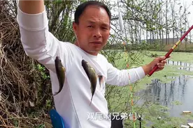 气温上升鱼上浮不开口怎么办？我有一个方法专治各种不开口@项渔视频封面