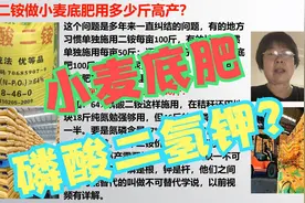 磷酸二铵做小麦底肥用多少斤？怎样配肥更高产高产？视频封面