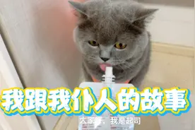 在猫咪的眼里世界是什么样呢，以猫咪的视角来看看它们的一天视频封面