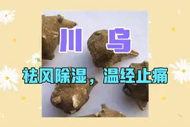 川乌，祛风除湿，温经止痛，用于风寒湿痹，心腹冷痛，寒疝腹痛等