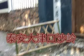 泰安大津口沙岭视频封面