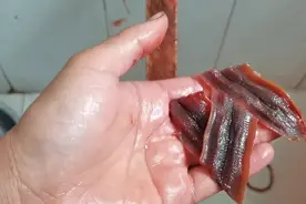 教大家两种简单粗暴的黄鳝去骨方法。