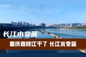 重庆嘉陵江干了，长江水却突然变成蓝色了，好奇怪到底是怎么回事视频封面