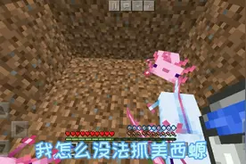 我的世界:今天教你们怎么抓美西螈(结尾有惊喜)