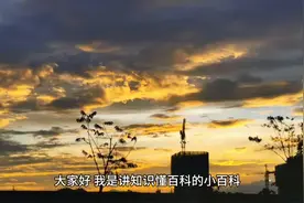 千年石窟，国家瑰宝——莫高窟视频封面
