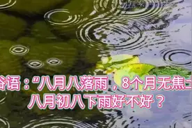 俗语：“八月八落雨，8个月无焦土”，初八下雨好不好？看完了解视频封面