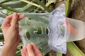 闺蜜美容院偷学的芦荟水晶果冻膜，学会再也不用去皮肤越来越水嫩视频封面