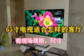 电视机安装，65寸电视适合怎样的客厅呢，装修现场规格，尺寸参考视频封面