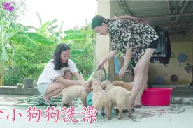越南姐妹给小狗喂食，🆚给小狗狗洗澡视频封面