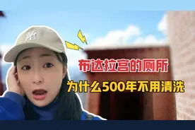 布达拉宫的厕所，为什么500年都不用清洗？厕所竟然建在悬崖上！视频封面