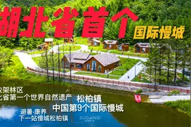 终于知道武汉人为什么喜欢去神农架了！打卡松柏镇，美与避暑兼之视频封面