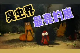 爆笑虫子：小红小黄意外长出头发，秒变爆炸头，结果丑到互相嘲笑视频封面