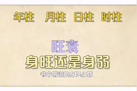 子平术之：浅谈四柱命理术中的“旺衰”基本判断标准视频封面