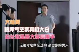 大结局：粮库亏空事件真相大白，省长才是最大幕后黑手视频封面
