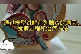 陈医生通过模型为您讲解前列腺炎的病因，发病过程和治疗方法。视频封面