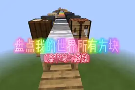 我的世界：盘点MC中全部方块，看你认识了多少？视频封面