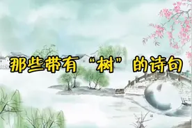 今天是植树节，让我们来看看那些带有树的诗句视频封面