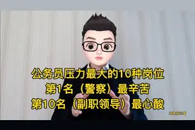 公务员压力最大的10种岗位，警察最辛苦，副职领导最心酸视频封面