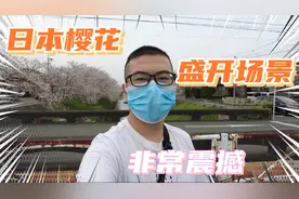 日本人对樱花痴迷的程度到底有多高？快来围观，网友:不愧为国花