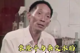 历史资料记录片：袁隆平与中国杂交水稻的故事视频封面
