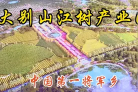 总投资5亿元！实拍麻城第一将军镇，占地5000亩的大项目视频封面