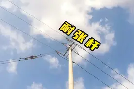 认识一下10kV耐张电杆，为什么要装设耐张杆