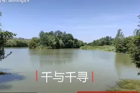 孝感吉他专业教学视频封面