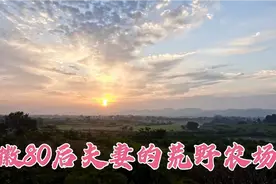 安徽一对80后夫妻，在荒野山林开辟农场种菜养鸡！都说令人向往！视频封面