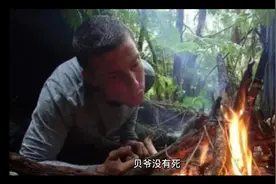 贝爷死了吗？视频封面