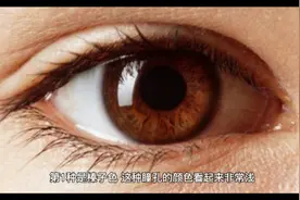 十种不同的瞳孔颜色视频封面