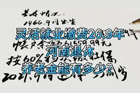 灵活就业缴费26.9年，河南退休，养老金能有多少？视频封面