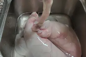 大厨解密：萝卜猪肺汤的正宗家常做法，肉香浓郁，甘甜味美又不腥视频封面