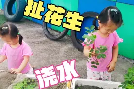 国庆第一天值班，两小可爱帮着扯花生，给花儿浇水，忙得小嘴嘟嘟视频封面