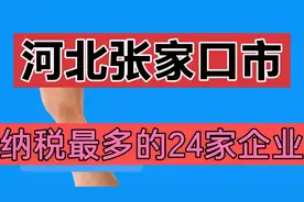 河北张家口市纳税最多的24家企业视频封面