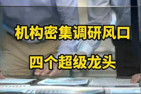 机构密集调研风口，四个超级龙头视频封面